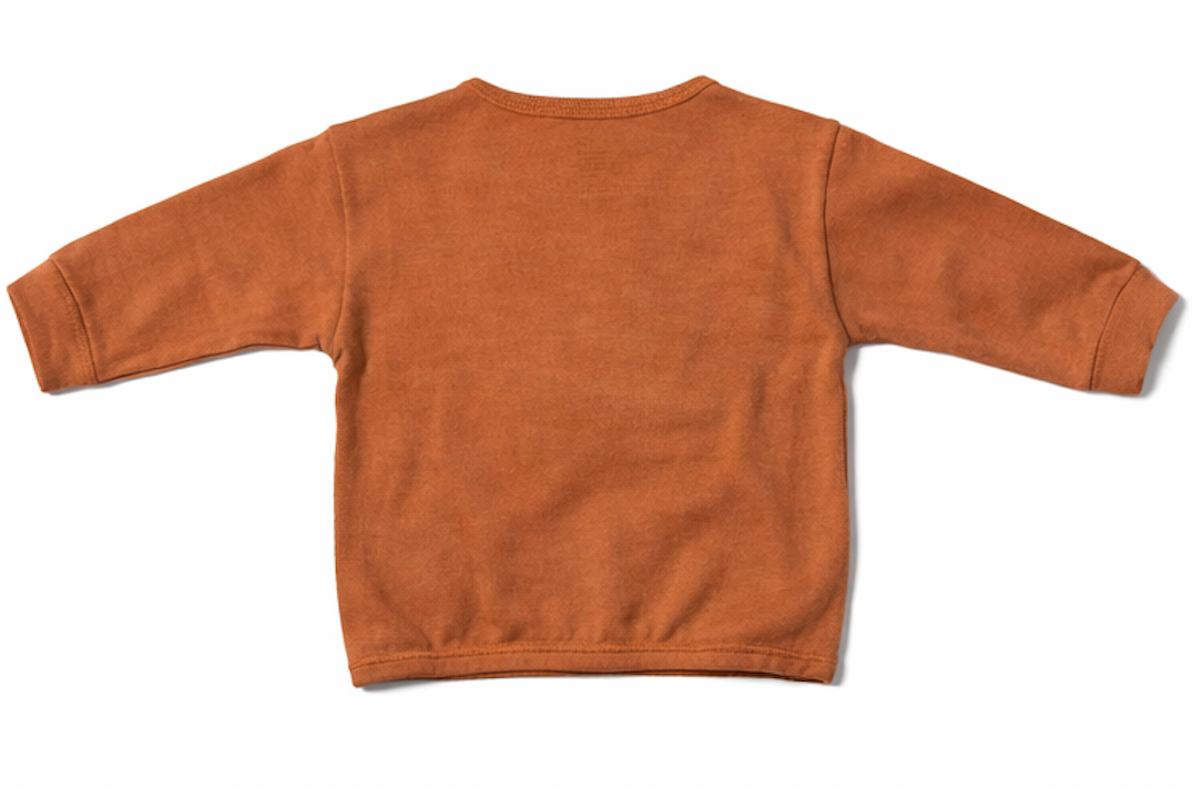Pull bébé et enfant en coton Kassyfamily’s – Vert, blanc crème , marron - Sweat Enfant Manches Longues -